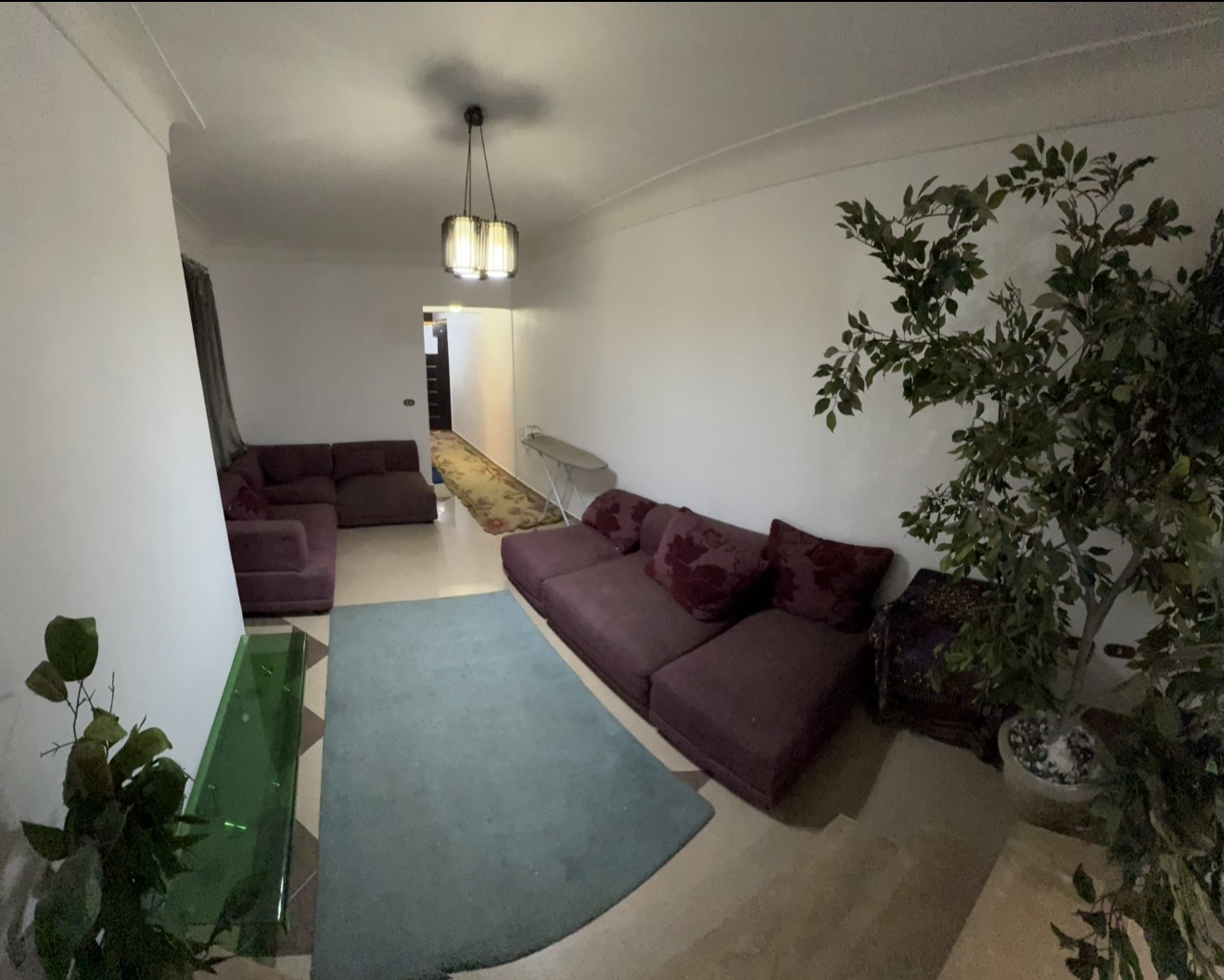 صورة المعرض 15